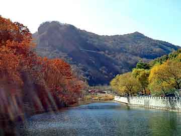 新澳天天开奖资料大全旅游团，回收线路板